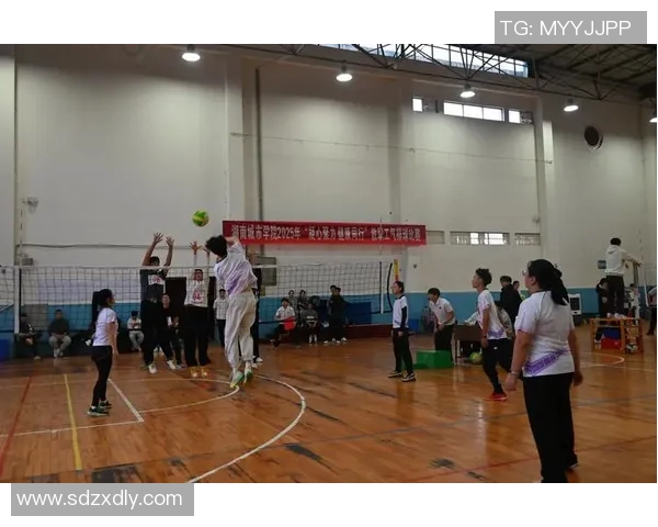 实时新闻排球新手必看提升比赛意识的实用入门技巧与策略指南